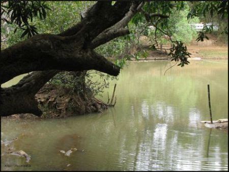 Kuruva Island ~ Kerala Tourism, Tourism in Kerala, Kerala Tourism,