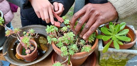 Ecole Ouverte Du Coll Ge Van Gogh Sur Le Jardin Des Bv Les Brigades