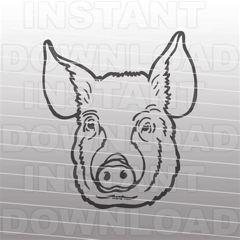 Pig Face Svg Filestock Show Pig Svg Filelivestock Svg Etsy