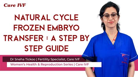 Frozen Embryo Transfer Natural Cycle Care IVF Embryo Transfer