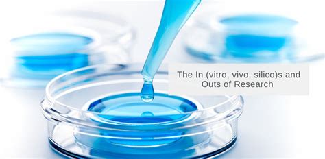 The In Vitro Vivo Silico S And Outs Of Research InVivo Biosystems