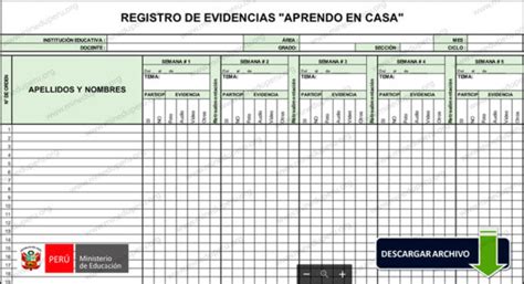 Formato para registro de evidencias Excel Ministerio de Educación