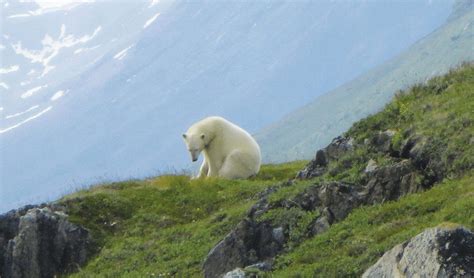 Parque Nacional Torngat Mountains Terranova Y Labrador Canad