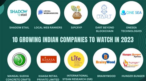 10 Growing Indian Companies To Watch In 2023 Sangri Express