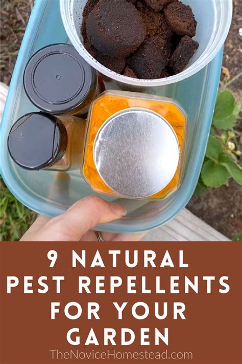 9 Natural Pest Repellents For Gardens Natural Bug Repellent Bug