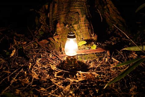 Dietz Lantern Collection あめんぼブログ