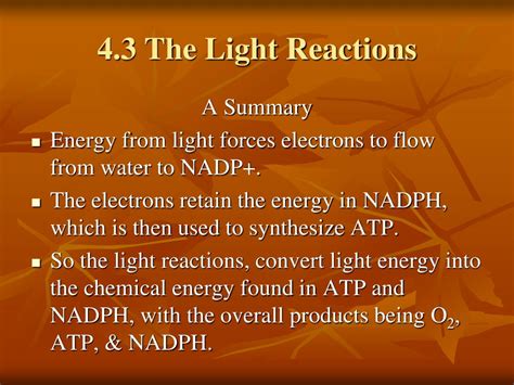 Ppt Photosynthesis Powerpoint Presentation Free Download Id 5780340