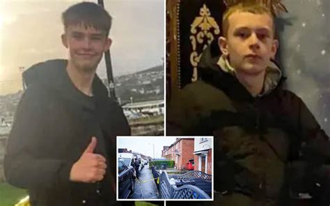 Tributes laid at scene where teenage boys were stabbed to death in ...