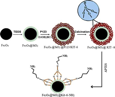 Schematic Image For Synthesis Of Fe3o4sio2kit 6 Nh2 Coreshell