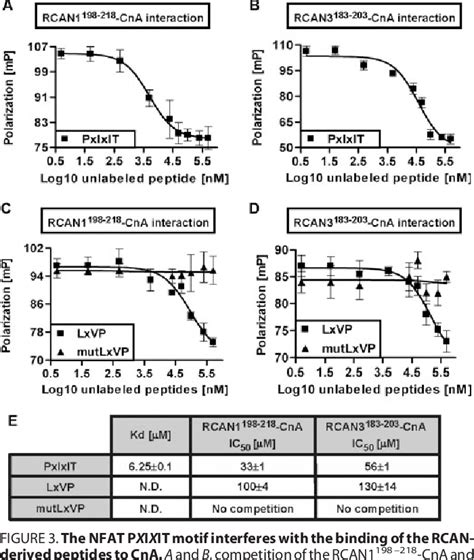 Figure 3 From Inhibiting The Calcineurin Nfat Nuclear Factor Of