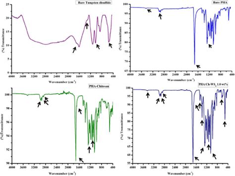 FTIR Analysis Of Bare Tungsten Disulfide PHA PHA Ch And PHA Ch WS2