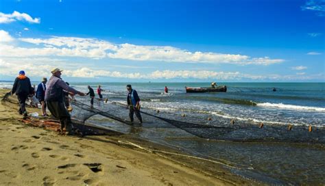 Marea Neagr A Fost Contaminat Pescarii Au Interzis La Pescuit