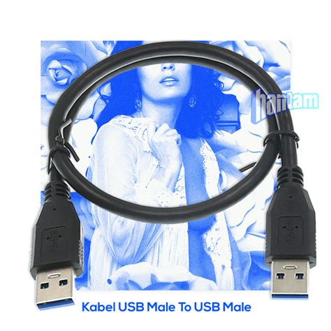 Jual Hantam Kabel Usb Male To Male Pcie Mining Riser Type A Ugreen