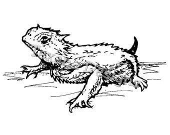 Horned Lizard Cliparts | Free Download Clip Art | Free Clip Art | on ...