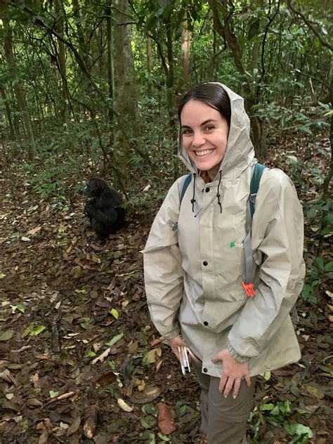 Chimpanzee Trekking In Kibale National Park Uganda Tett Safaris