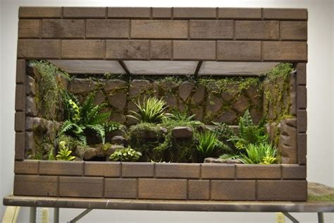 Pin By Dani On Terrarien Reptilien Habitats Plants Aquarium