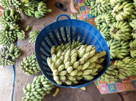 Premium Photo The Green Banana In The Blue Basket Was Laying On The