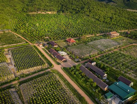 Our Farm Kampot La Plantation