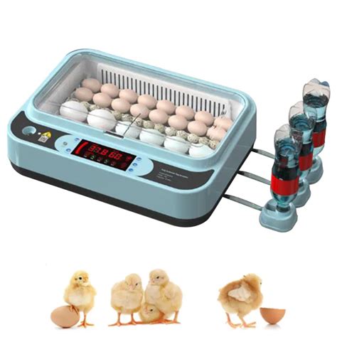 Generic Imported Fully Automatic Digital Egg Incubator Eggs