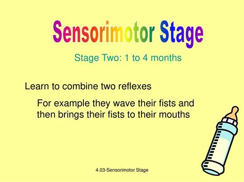 The Sensorimotor Stage Relevance To Infants Ppt Download