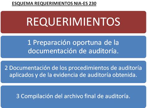 Nia Es Documentaci N De Auditor A Auditor A Y Contabilidad Espa A