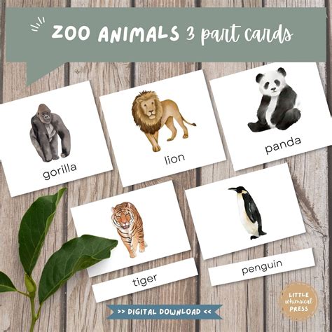 Montessori Zoo Animals 3 Part Cards Vocabulary Animal Flash Cards for ...