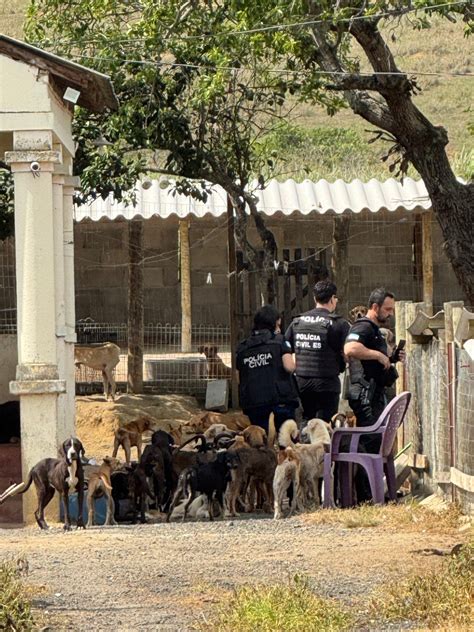 A Gazeta Dona De Ong Presa Por Suspeita De Maus Tratos A Animais Em