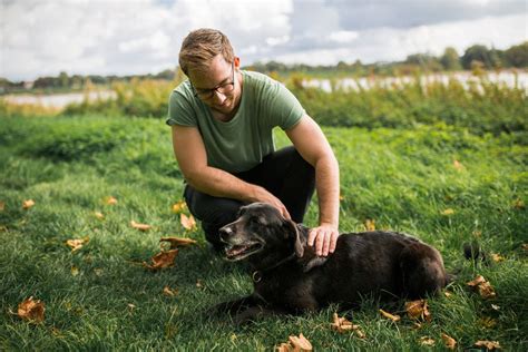 Ideen Deinen Hund Zu Belohnen Zum Sofort Umsetzen