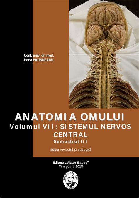 Pdf Anatomia Omului Umft Ro Incon Tient Cu Rolul De A Regla