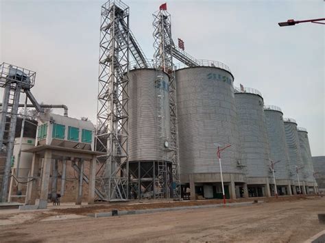 Tons Peanut Soybeans Meal Storage Silo