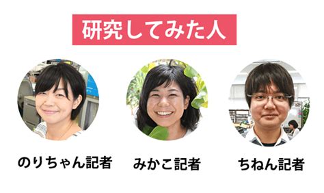 「ミキ」を徹底研究してみた。→奥深さの沼にはまった。 「てみた。」16 琉球新報デジタル