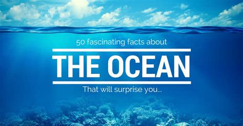 Fascinating Facts About The Ocean Infographic