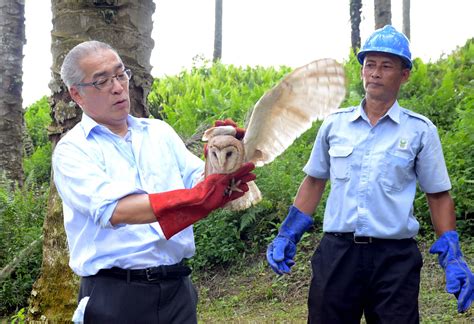 Berantas Hama Burung Hantu Diberdayakan Independensi