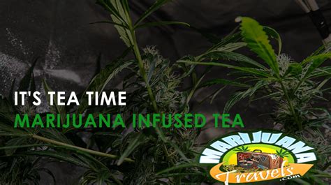 Cannabis Infused Tea | Marijuana Edibles | Marijuana Travels