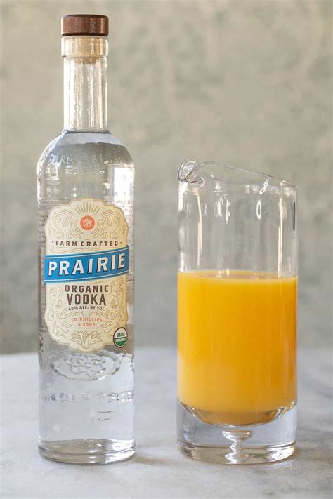 Vodka And Orange Juice Recipe – MOPDP