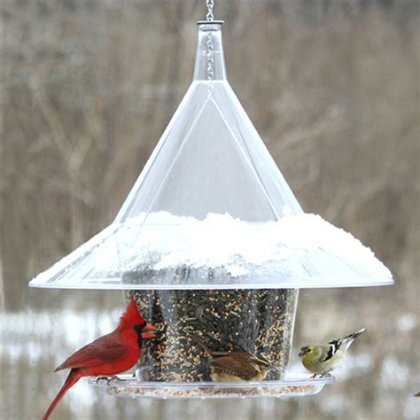 Sky Cafe Squirrel Proof Bird Feeder | Momma's Home Store