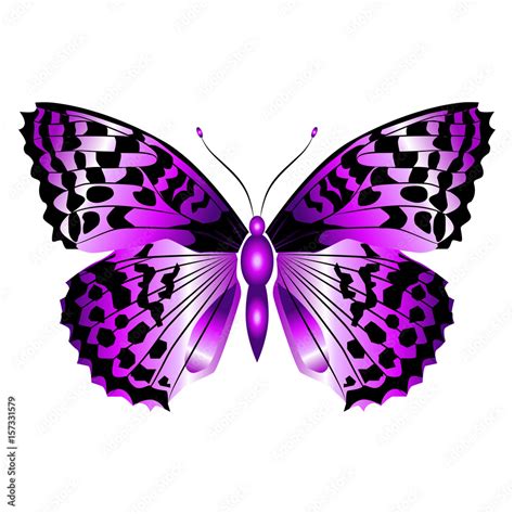 Bright Beautiful Purple Butterfly Vector Illustration Isolated Stock Vector Adobe Stock