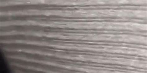 Free Encoxada Porn Videos Sex Movies TNAFLIX