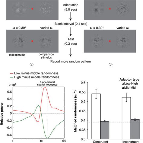 Schematic Diagrams For The Stimulus Presentation In A The Polarity Download Scientific