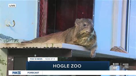 Hogle Zoo