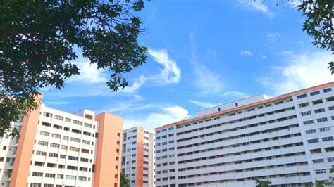 Hdb Bto November 2022 Bukit Batok Review Verdant Greenery In The West