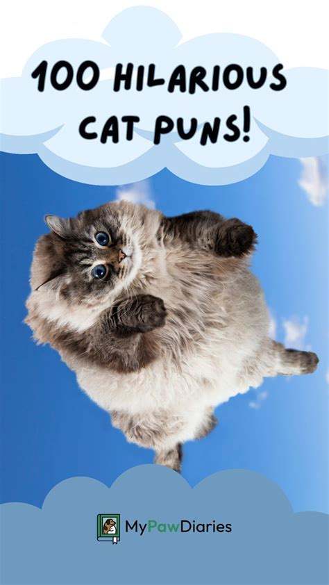 100 Hilarious Cat Puns Purrfect Cat Puns For Instagram Captions