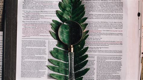 book mac wallpaper  allmacwallpaper