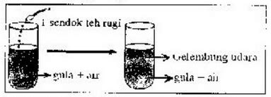 Perhatikan Diagram Percobaan Berikut Ragi Y