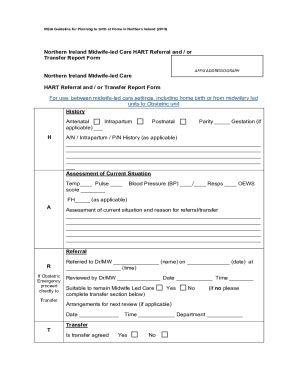 Fillable Online RQIA Guideline For Planning To Birth At Home In