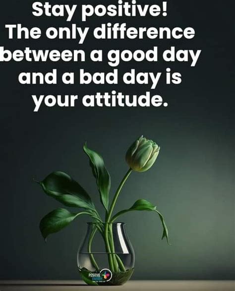 Stay Positive The Only Difference Between A Good Day And A Bad Day Is Your Attitude