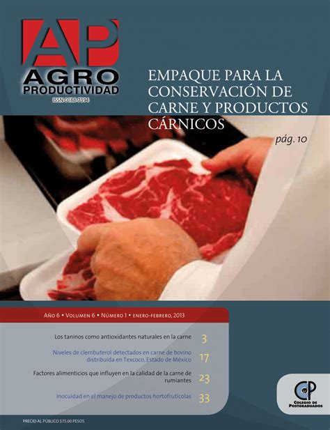 Pdf Empaque Para La Conservaci N De Carne Y Productos C Rnicos Pag