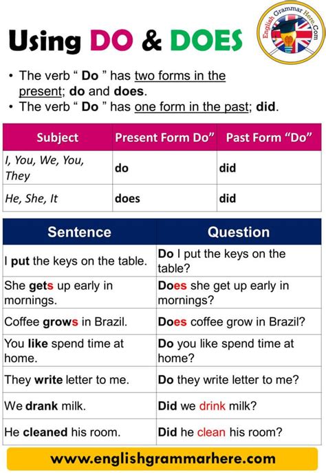 Using Do and Does, Definition and Example Sentences USING DO AND DOES ...