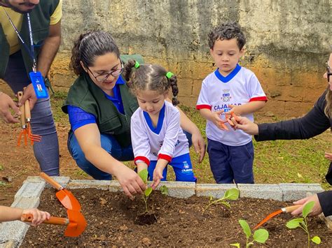 Projeto Semeia Cajamar Inaugura Nova Horta Na Emeb Prof Marcelo