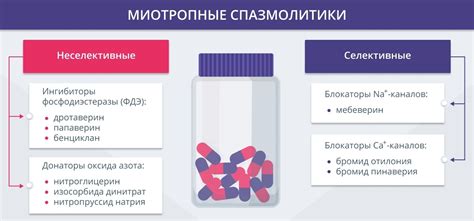 Спазмолитические средства при простатите - фото презентация
